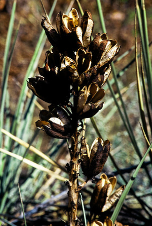 47509_B7_SL_COLOR_CRIPPLE_CREEK_HWY7_CO_97_07.jpg