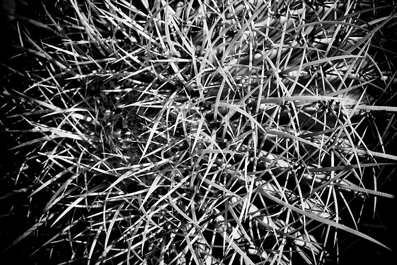 0031_La_Arizona_5L8Y5225