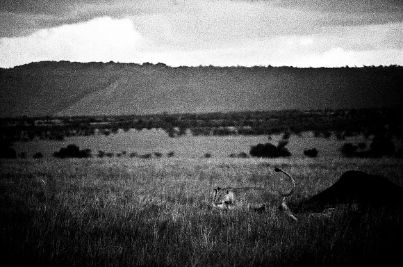 B3_82002_BW_194_New_Masai-Ballon_Africa_89_21