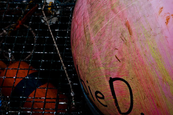 06581_ZV4N_0948_DG_COLOR_BASS_HARBOR_MAINE_ME_USA_2007_details_fishing