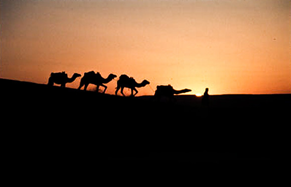 3206_SL_COLOR_MERZOUGA_SHAHARA_MAROCCO_II_1998_16