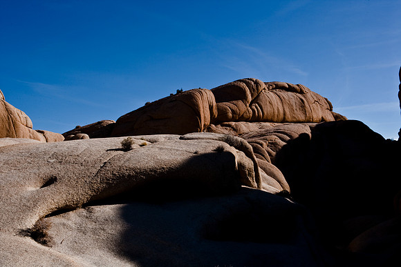 06646_DG_COLOR_JOSHUA_TREE_NAT_PARK_29_PALMS_CALIFORNIA_CA_USA_2007_ZV4N_465