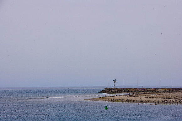 06584_ZV4N_1732_USA
