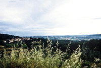 37340_SL_COLOR_ITALY_2000_3