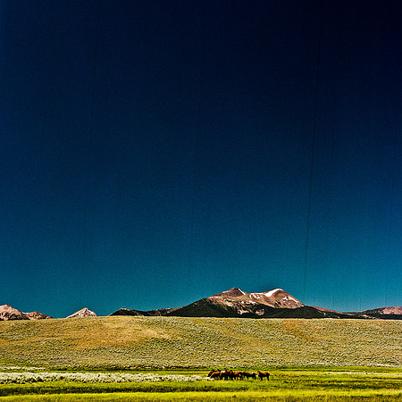 2408_FM_COLOR_ID_02_8.jpg
