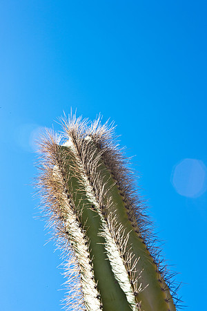 0031_La_Arizona_5L8Y5534