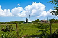 3876_DG_Cayman_Island_Caribbean_ZV4N0021