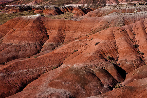 20080917_DVD60_DG_from_Sedona_to_Gallup_5L8Y7932_full_blead