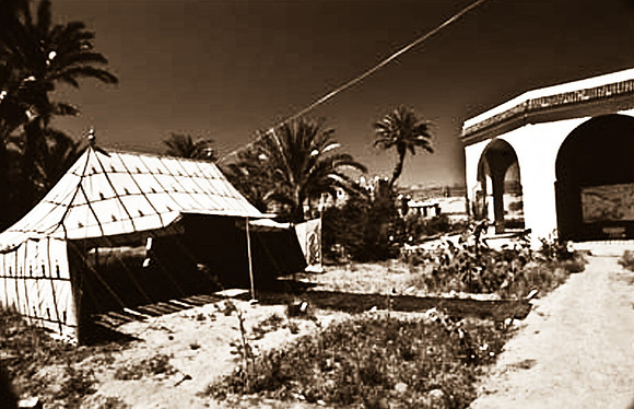 3187_SL_COLOR_TAMGROUTE_MAROCCO_II_1998_7
