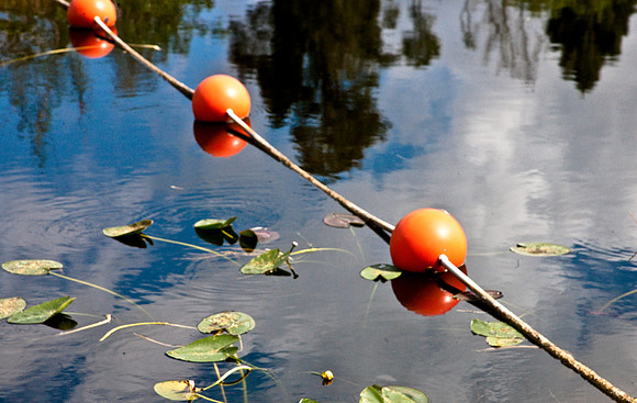 2527_EVERGLADES_MIAMI_FLORIDA_AOM_20090315__A0M1178