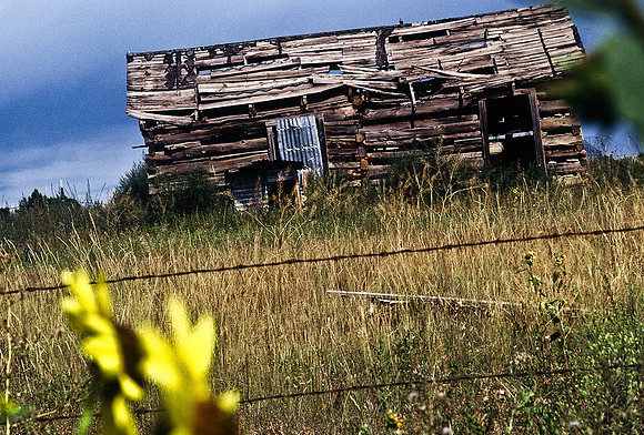 47497_B6_SL_COLOR_TRINIDAD_TO_HWY12_LOOP_SEGUNDO_BIG_PINE_RANCH_CO_97_05.jpg