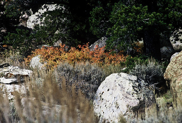 47351_B2_SL_COLOR_WHISKEY_MOUNTAIN_DUBOIS_TO_LANDER_WY_97_03.jpg