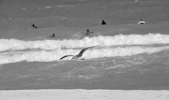 36153_DG_BW_USA_South_Beach_FL_Related_GroupDSC_0114