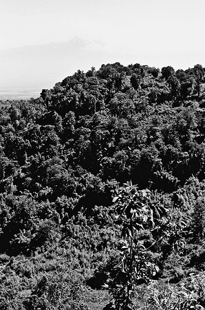 B3_82008_BW_194_New_Amboseli_Africa_89_21