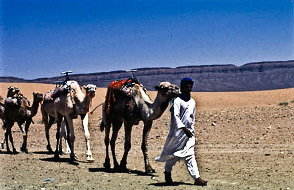 3189_SL_COLOR_TAMGROUTE_DUNES_MAROCCO_II_1998_16