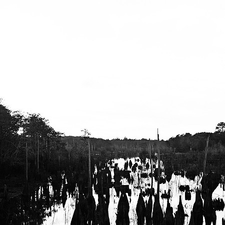 6158_FM_BW_TO_TEXAS_AL_05_3.jpg