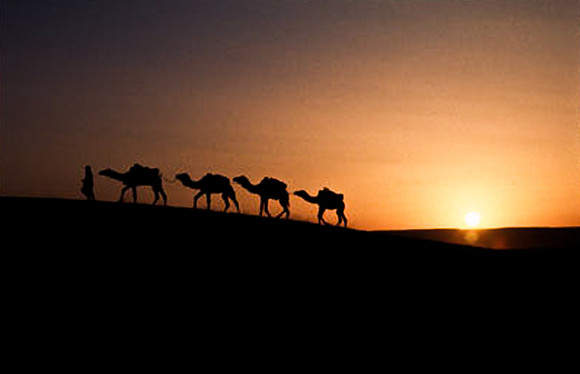 3203_SL_COLOR_MERZOUGA_SHAHARA_MAROCCO_II_1998_12