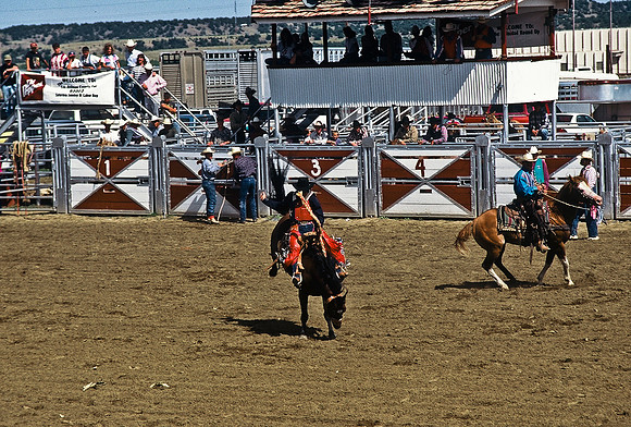 47494_B6_SL_COLOR_TRINIDAD_RODEO_CO_97_20.jpg