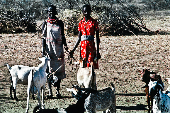 55442_SL_COLOR_TRIBE_LAKE_BARINGO_KENYA_AFRICA_1989_2