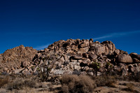 36377_DG_COLOR_JOSHUA_TREE_NATL_PARK_29_PALMS_CALIFORNIA_CA_USA_2007_ZV4N_1316
