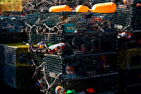 06596_DG_COLOR_BASS_HARBOR_MAINE_ME_USA_ZV4N_189_06