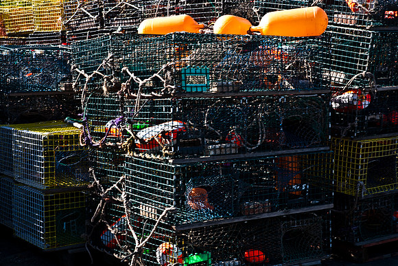 06596_DG_COLOR_BASS_HARBOR_MAINE_ME_USA_ZV4N_189_06