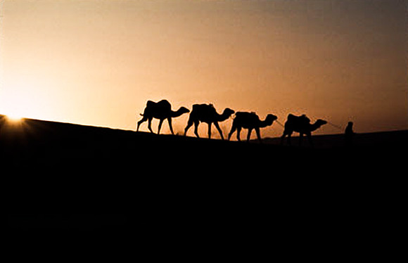 3201_SL_COLOR_MERZOUGA_SHAHARA_MAROCCO_II_1998_16