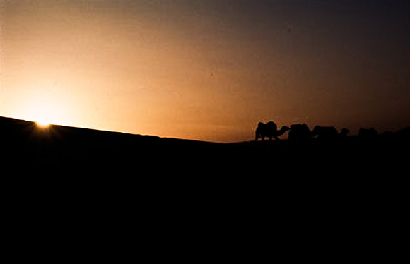 3201_SL_COLOR_MERZOUGA_SHAHARA_MAROCCO_II_1998_14
