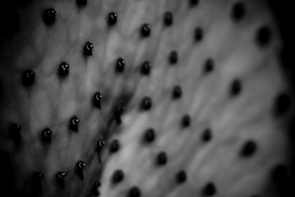 0031_La_Arizona_5L8Y5580