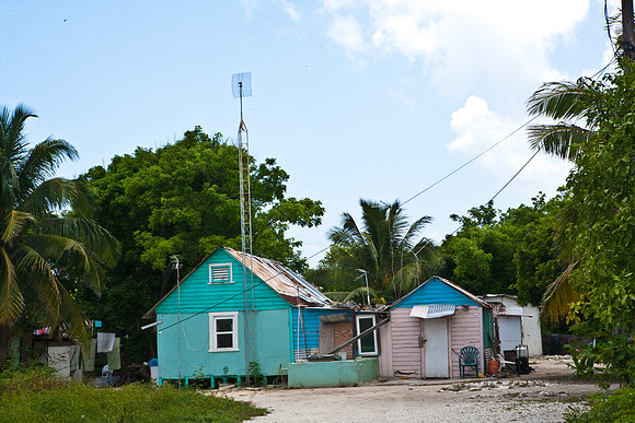 3876_DG_Cayman_Island_Caribbean_ZV4N0573