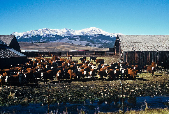 47445_B5_SL_COLOR_FROM_TWIN_LAKE_TO_STRINGTON_RAIL_COLORADO_WY_97_02.jpg