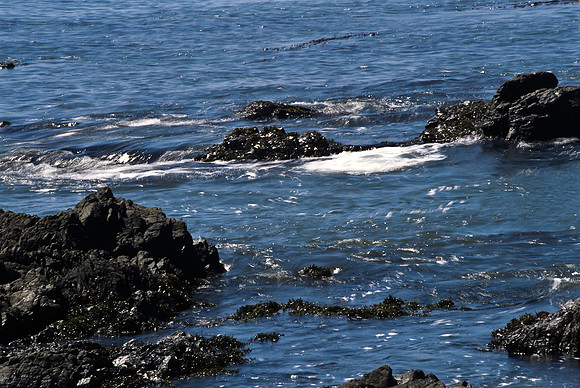 47935_B17_SL_COLOR_COAST_SAN_SIMEON_AND_UP_CA_97_16.jpg