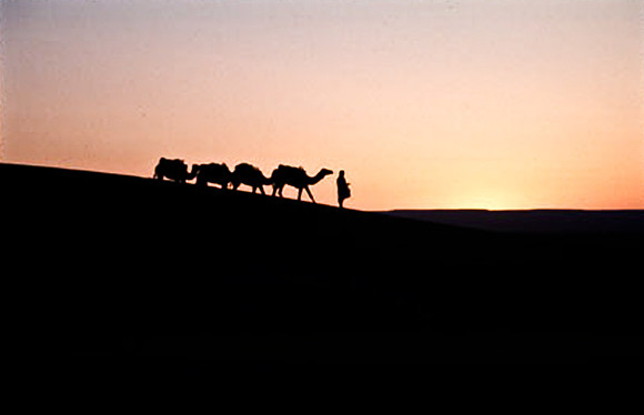 3206_SL_COLOR_MERZOUGA_SHAHARA_MAROCCO_II_1998_11