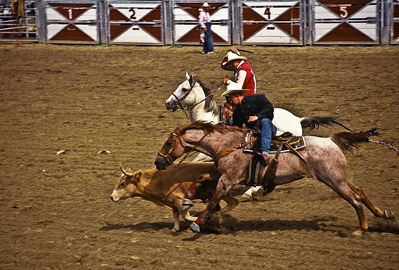 47490_B6_SL_COLOR_TRINIDAD_RODEO_CO_97_06.jpg
