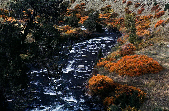 47653_B11_SL_COLOR_ENTRANCE_YELLOWSTONE_WY_97_03.jpg