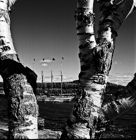 2253_FM_BW_CA_02_2.jpg
