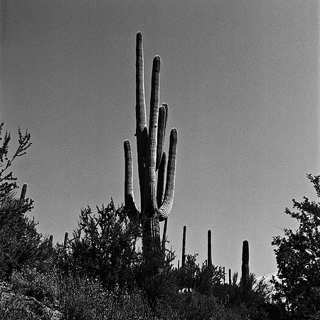 6018_FM_BW_TUCSON_AZ_05_7.jpg