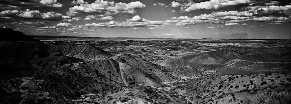 6139_COLOR_SQ_PAINTED_DESERT_AZ_USA_05_8.jpg