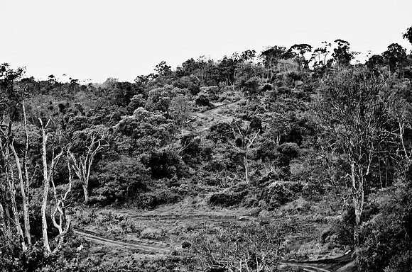 B3_82008_BW_194_New_Amboseli_Africa_89_35