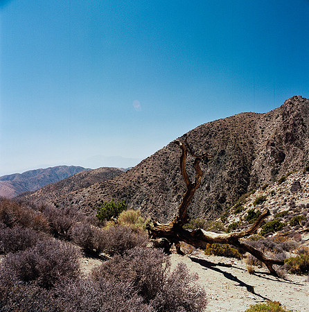 2333_FM_COLOR_SAN_DIEGO_CA_02.jpg