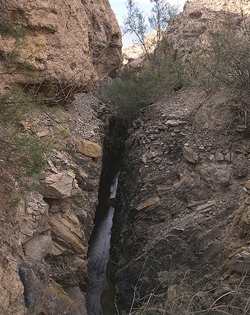 4000_20080719_ADS_Mexican_Landscape_Mexico_106