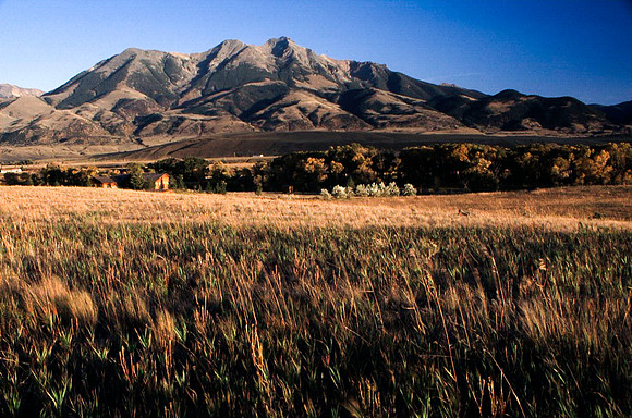 06729_B9_SL_COLOR_PINE_CREEK_MO_97_12.jpg