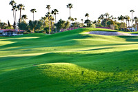 0031_La_Arizona_5L8Y5085