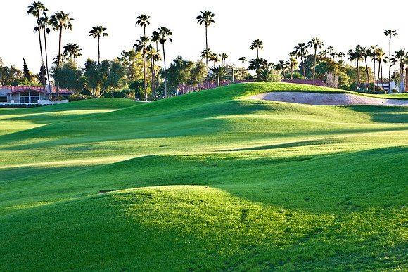 0031_La_Arizona_5L8Y5085