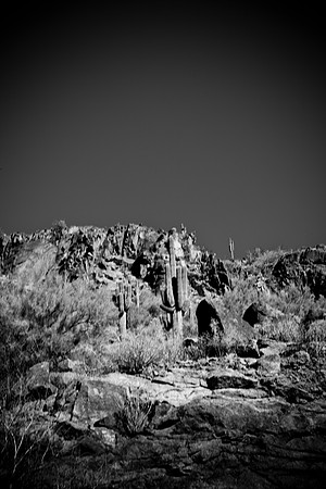 0031_La_Arizona_5L8Y5203
