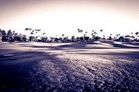 0031_La_Arizona_5L8Y5090-2