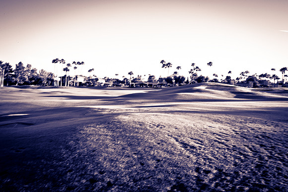 0031_La_Arizona_5L8Y5090-2