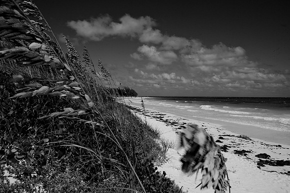 36168_DG_Color_USA_Harbour_Island_Bahamas_Related_GroupZV4N2069