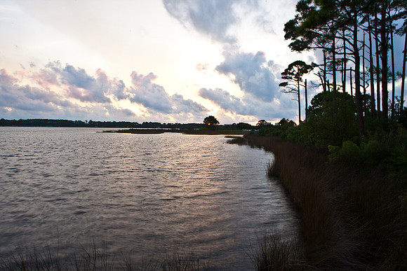 0036-NEW_ORLEANS_TO_PANAMA_CITY_BEACH_0036_DG_Panama_City_Beach_Florida_USA_2009_5L8Y1290