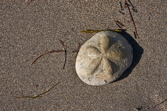 2702_Fisher_Beach_Miami_FL_5L8Y1506